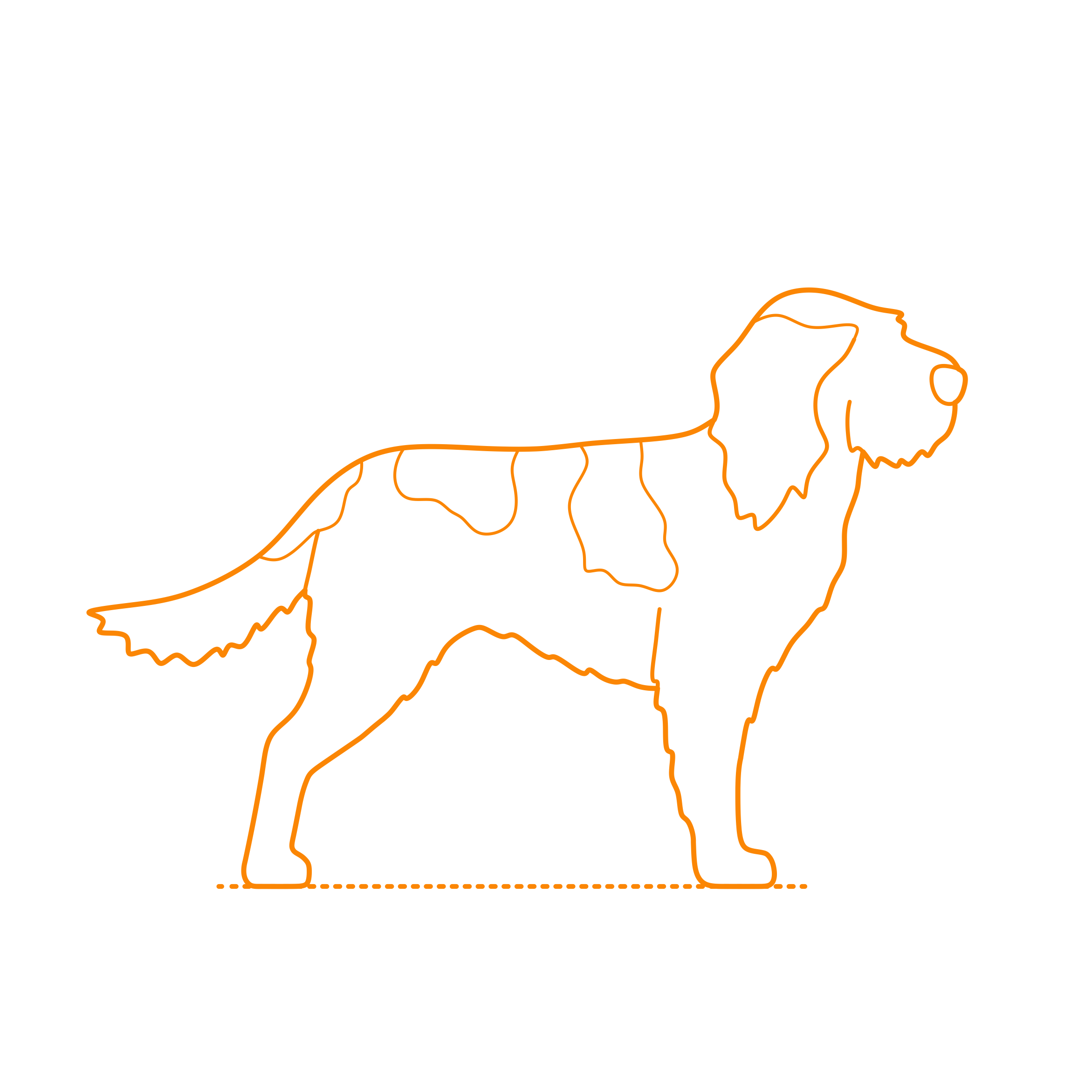 Animals Dogs Spinone Italiano Outline Icon Svg Set Free Vectors